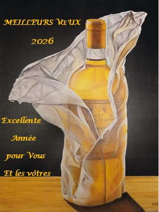 Carte de vœux 2026 du DiVINsalon