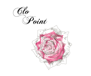 Logo Clo POINT