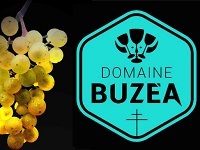 Logo Domaine Buzéa