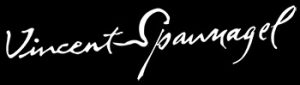 Logo Domaine Vincent Spannagel